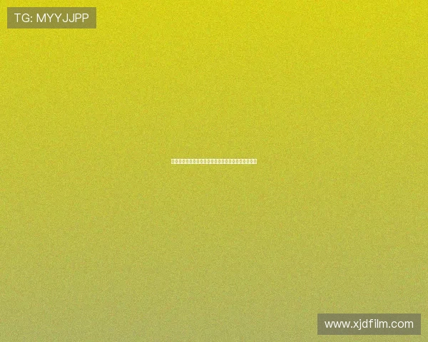 保莱塔称维蒂尼亚与佩德里为当今世界最出色中场球员 保莱塔称维蒂尼亚与佩德里为当今世界最出色中场球员